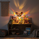 Vida com um chihuahua